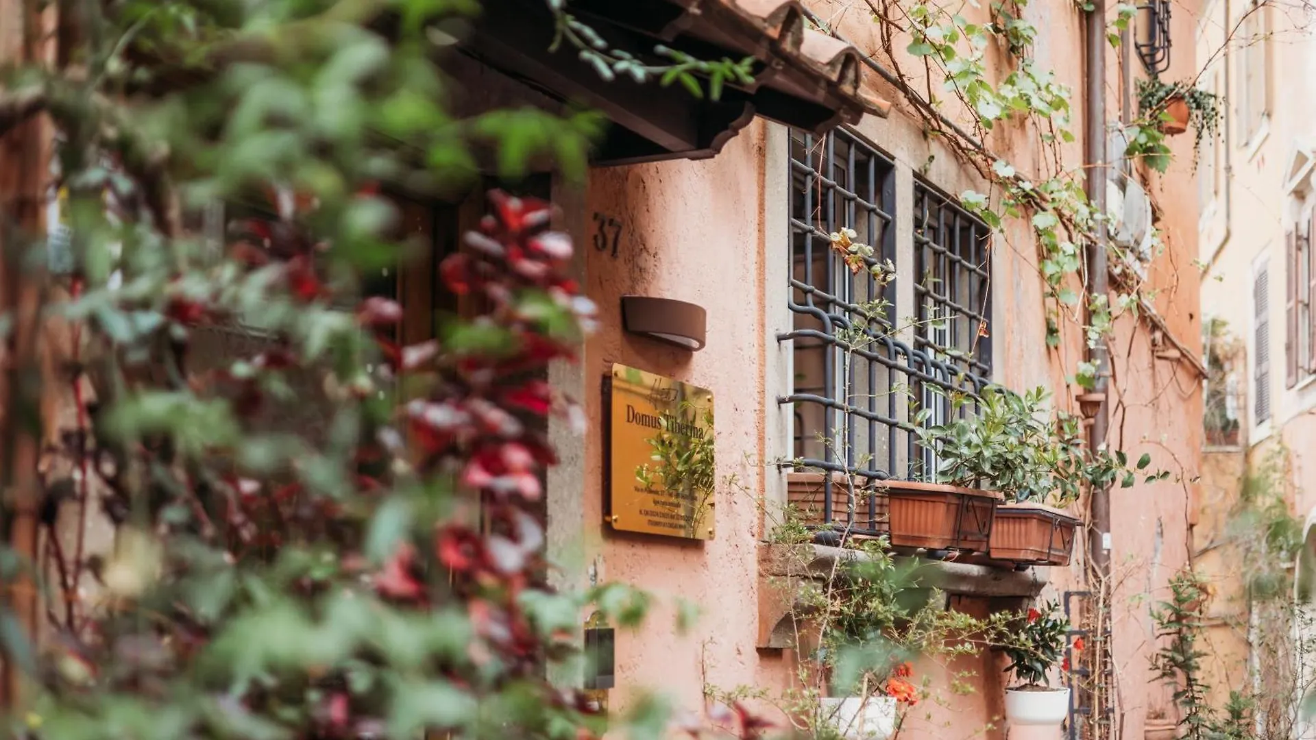 Hotel Domus Tiberina Roma