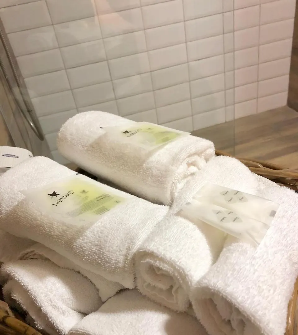 Hotel Domus Tiberina Rome