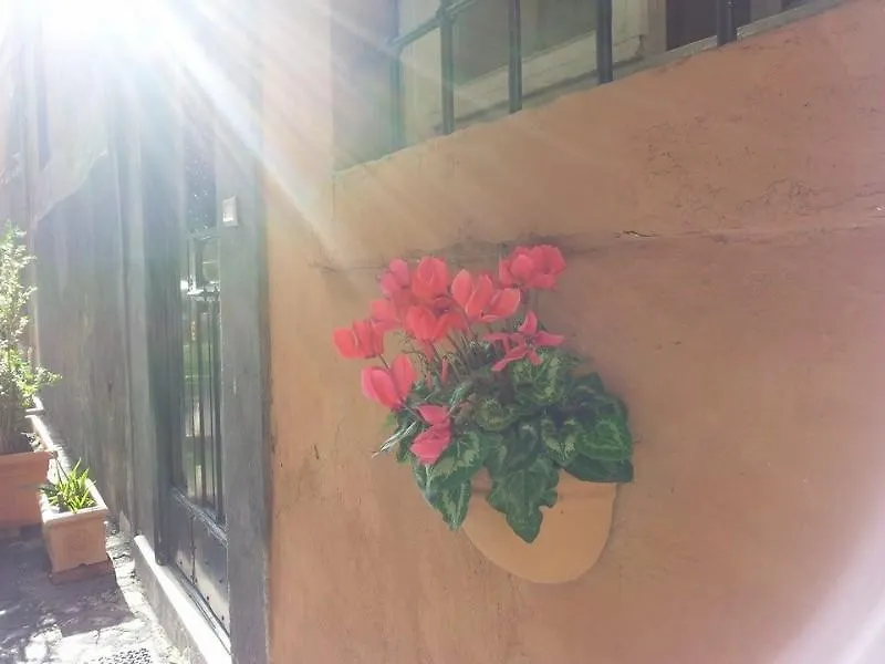 Hotel Domus Tiberina Rome